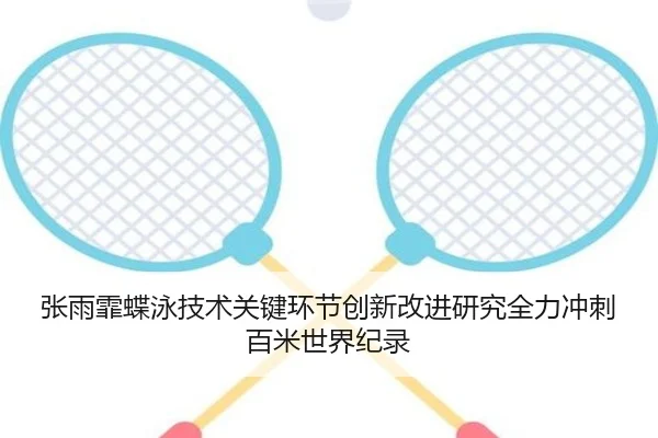 张雨霏蝶泳技术关键环节创新改进研究全力冲刺百米世界纪录